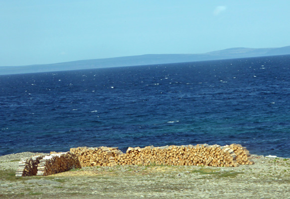 Newfoundland coast woodpile