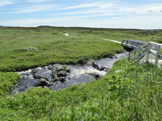 L'Anse aux Meadows creek