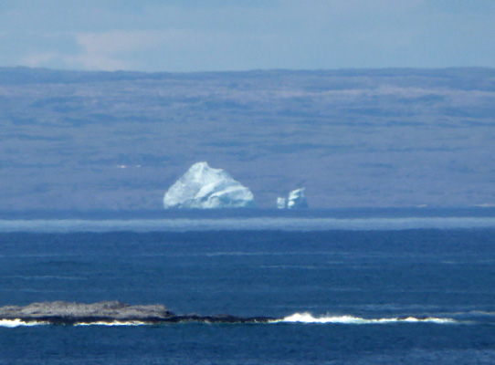 Iceberg seen from Burnt Cape NL