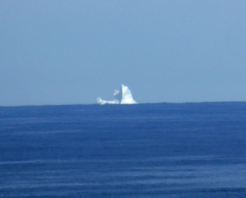 Icebergs from Burnt Cape NL