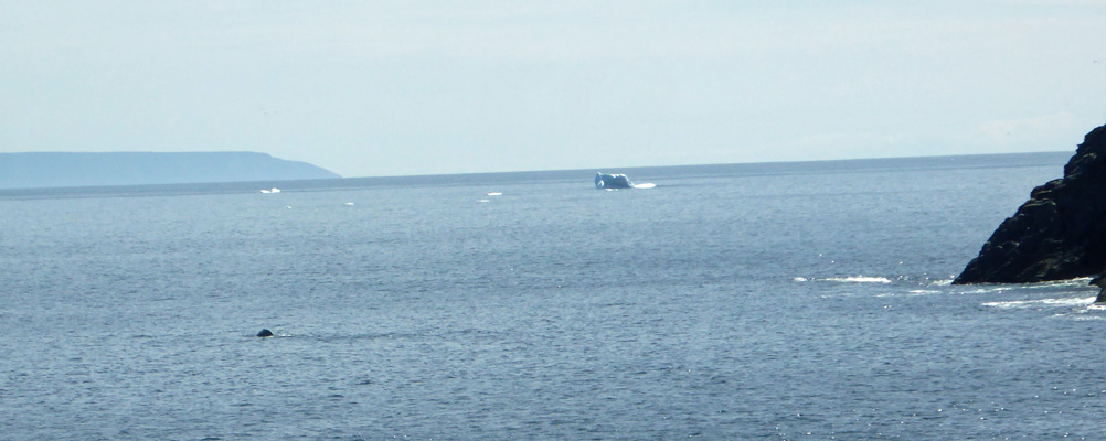 Fishing point whale and 2 icebergs