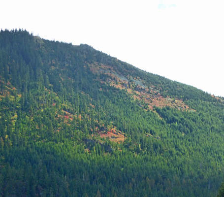 Fall color Snoqualmie Pass