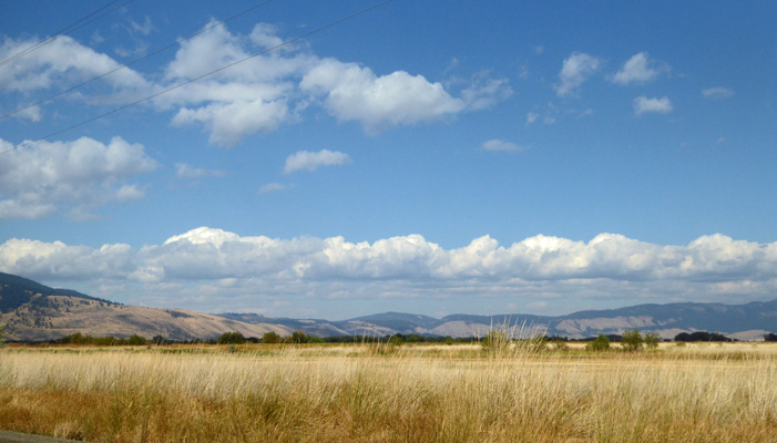 Praire and white clouds