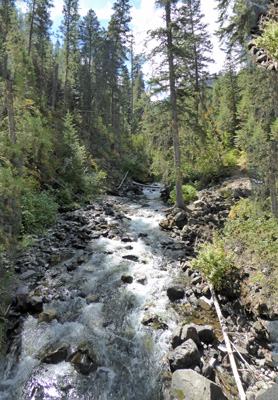 Up West Fork Wallowa River