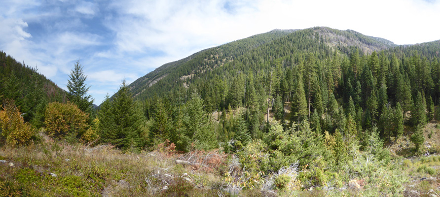 Northward View Hurricane Creek Trail