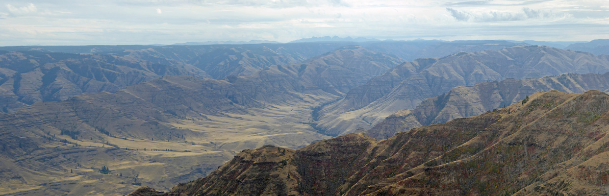 Buckhorn Lookout viewpoint southeast