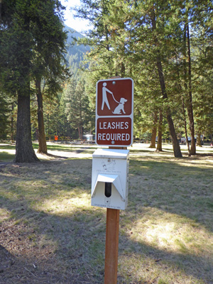 Dog on leash sign