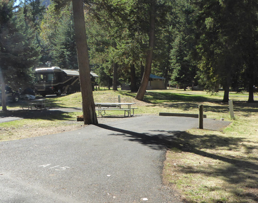 Treed campsite Wallowa Lake