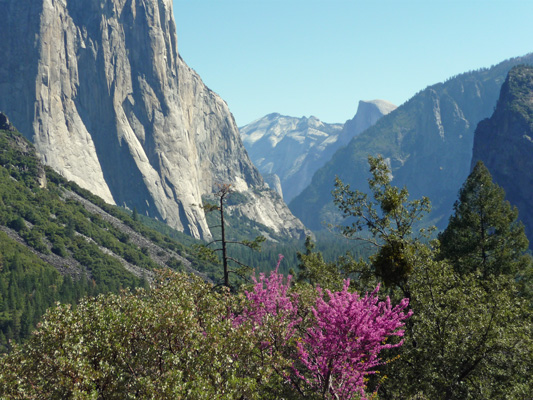 Yosemite Valley from Tunnel View