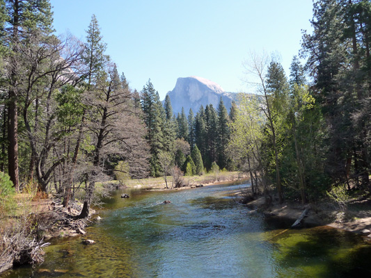 Half Dome from Sentinel Bridge