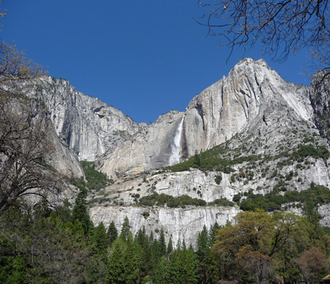 Yosemite Falls from meadow